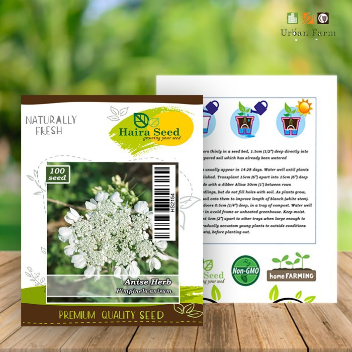 Benih-Bibit Herb Anise (Haira Seed)