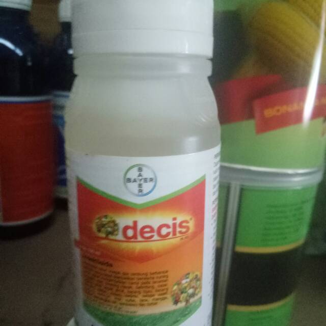 Decis
