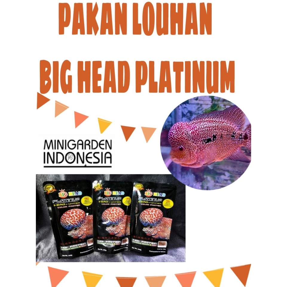 BIG HEAD PLATINUM HEAD HUNTER 100GR OKIKO PAKAN PELLET PELET LOUHAN