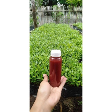 PSB ( photosynthetic bacteria )