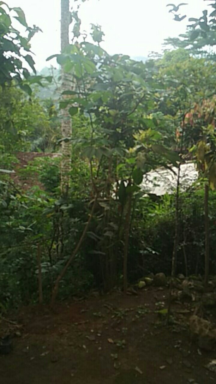 Kemasan Masker Kemasan Kopi Plastik Kemasan Klip