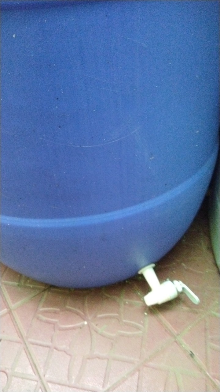 Tong Air + Kran 60 Liter ( Langsing ) Green Leaf