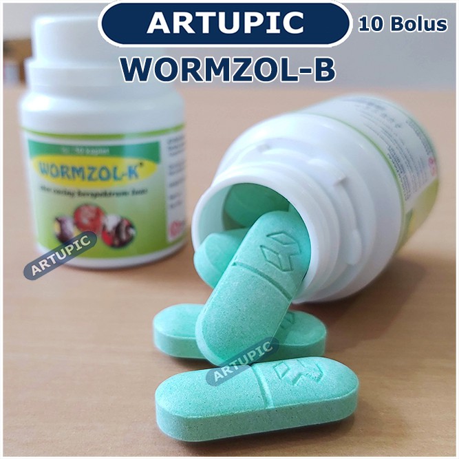 Wormzol Bolus 1 Pot isi 10 Bolus Obat Cacing Cacingan Pita Sapi Kerbau Kuda Kurus Wormzol-B