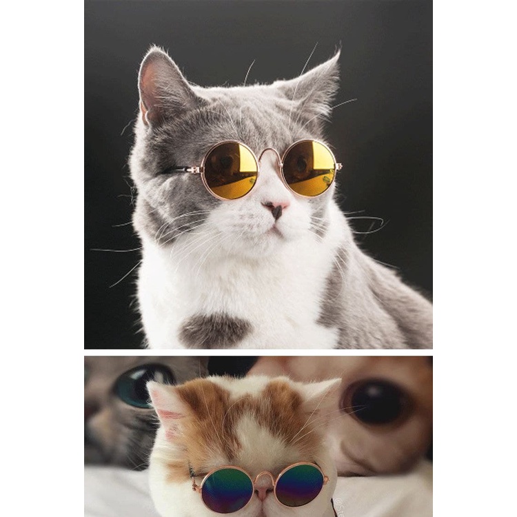 Kacamata Kucing Anjing Cat Dog Pet Sun Glasses Kaca Mata Gelap Hewan FEZONE