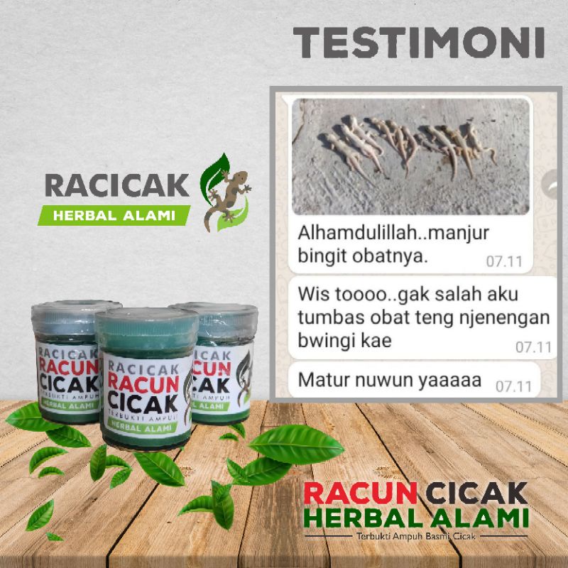 Racicak racun cicak herbal ampuh membasmi cicak kecoa dan tokek racak