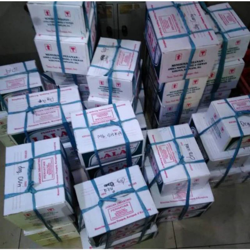 Paket A Isi 80 pcs Pempek Lala 26 Ilir Palembang [ VACUM FROZEN ]