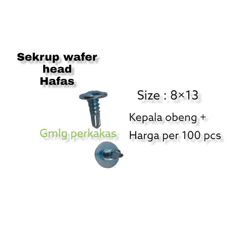 Sekrup/secrew SDS  Wafer head 8.13 Hafas