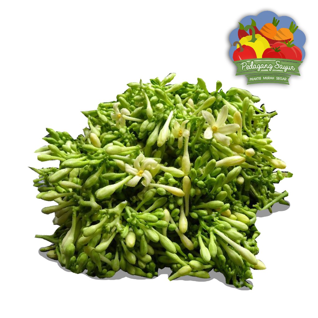 Bunga Pepaya 250 gram Shopee Indonesia Bunga Pepaya 250 gram Shopee Indonesia