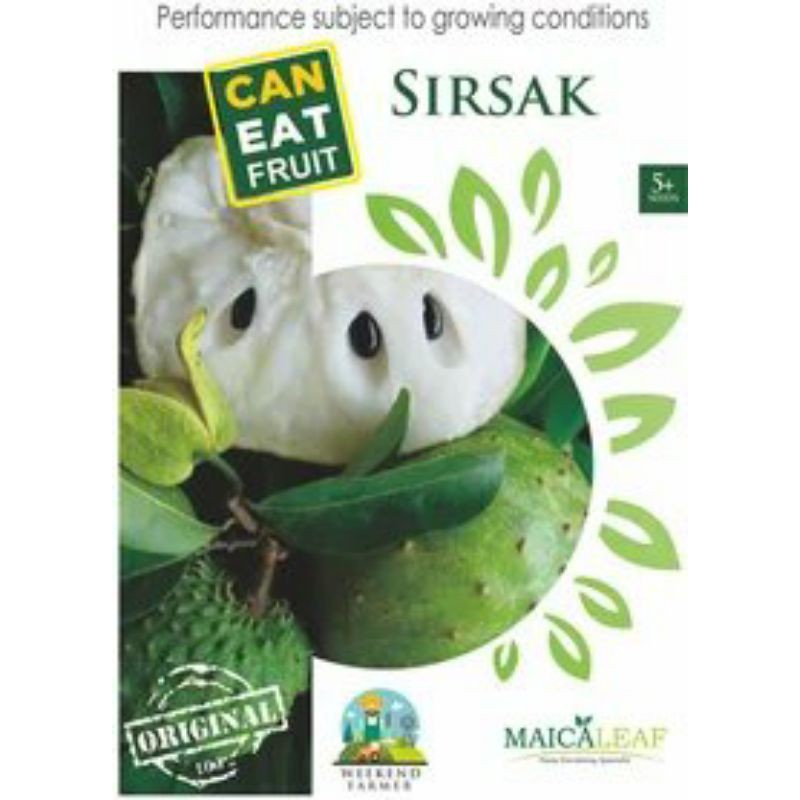 

Pack biji Buah SIRSAT madu