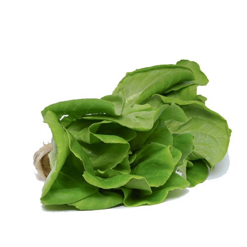 

Greenville Farm Butterhead Lettuce Hidroponik 250gr