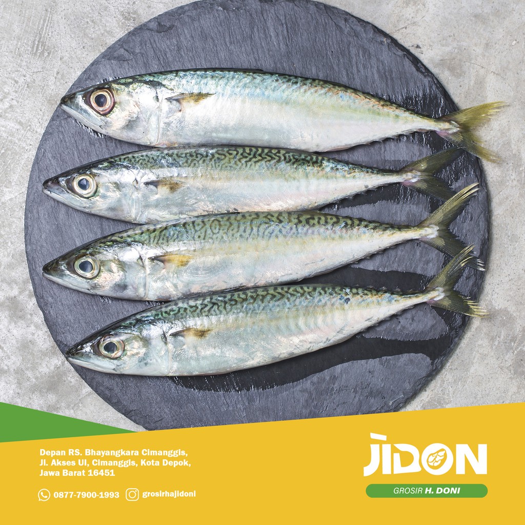 

JUAL IKAN LAUT/IKAN SEGAR/IKAN MAKAREL 500gr - 1kg