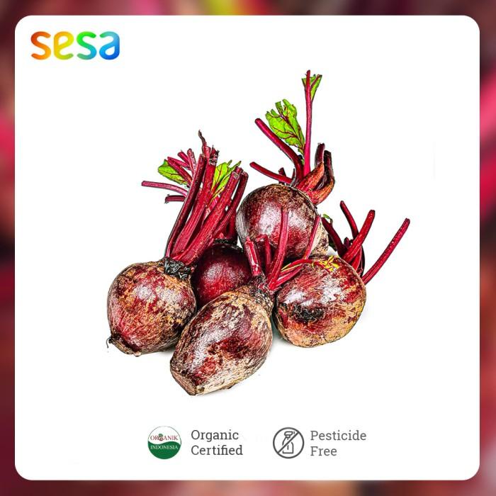 

Buah Beet Organik /1kg Best Seller