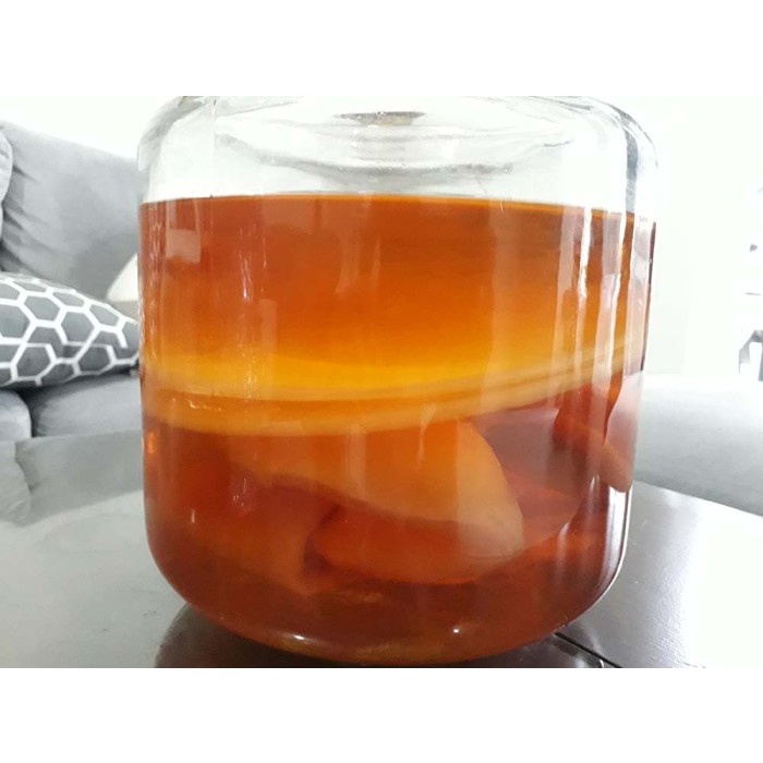 

MINUM-SIAP-DRINK-TO-READY- BIBIT SCOBY JAMUR KOMBUCHA SUPER, PUTIH BERSIH DAN MURAH -READY-TO-DRINK-