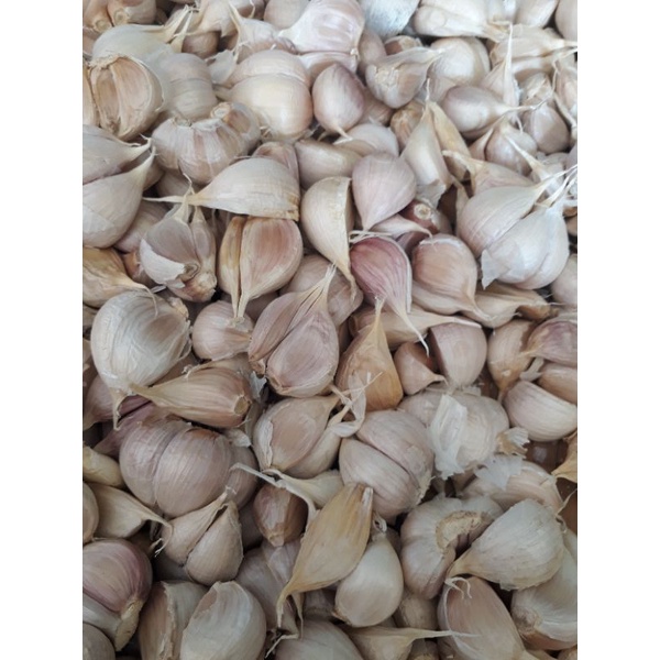 

bawang putih kating 1 kg