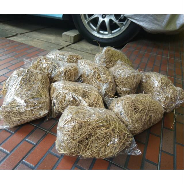Akar wangi