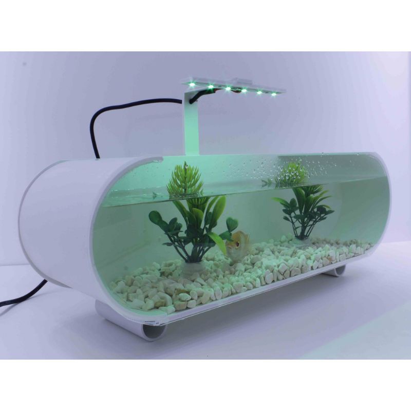 [ BAGUS ]AQUARIUM AKRILIK MINI IKAN CUPANG IKAN HIAS SIZE 30X12X9 CM