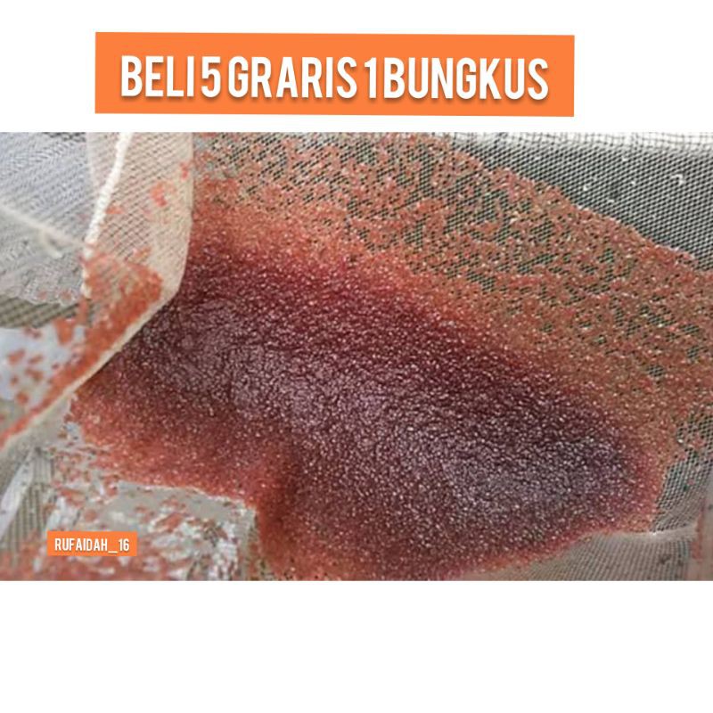 Kutu Air Pakan Ikan Cupang, Guppy