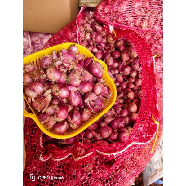 

Bawang merah nganjuk 1kg fresh besar