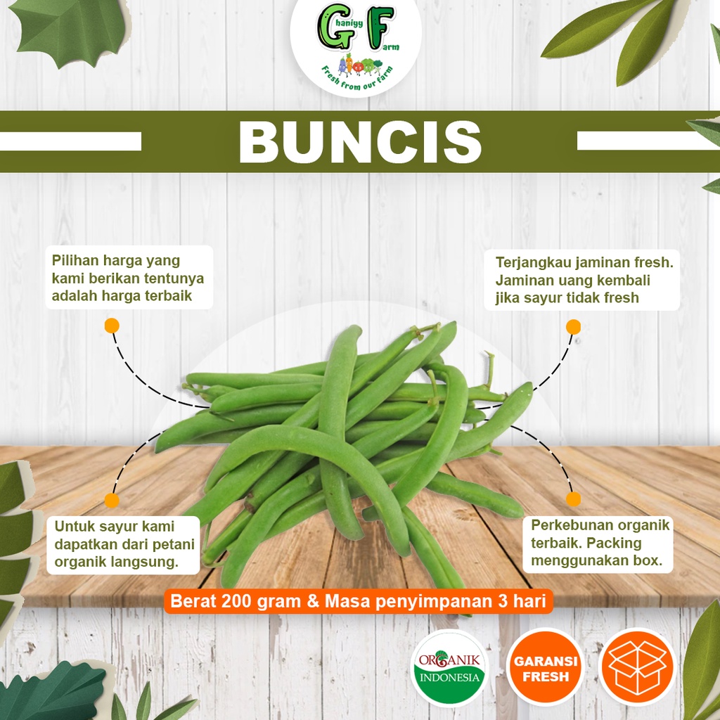 

Sayur Organik Bersertifikat Kacang Buncis Green Bean Fresh Segar Murah Sehat