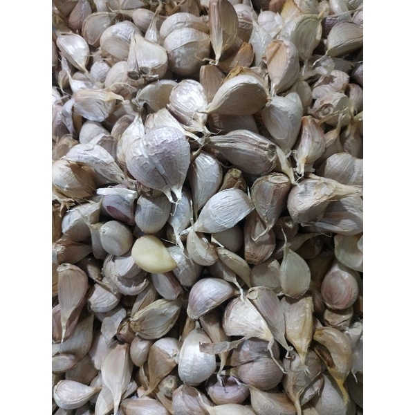 

bawang putih kating