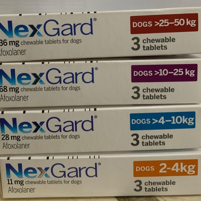 (1 TABLET) NEXGARD 10 - 25KG OBAT KUTU DEMODEX SCABIES OBAT KUTU AMPUH DOG