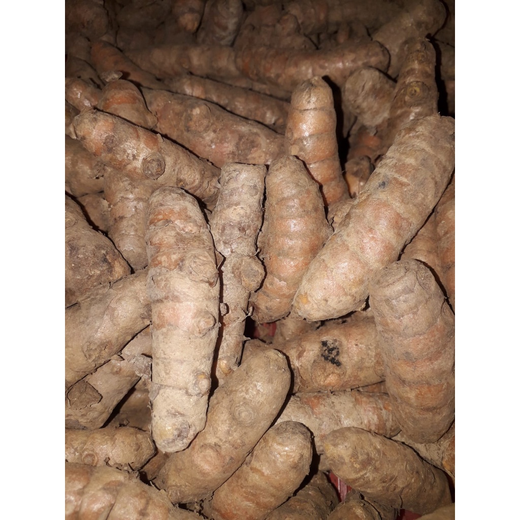 

Kunyit 250gr