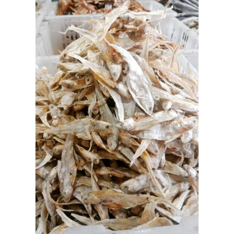 

IKAN ASIN BULU AYAM 100GR