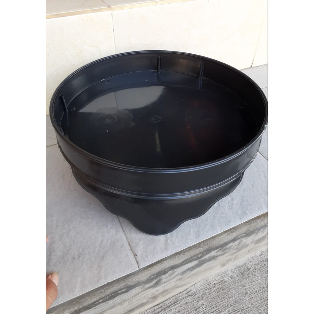 Tebok sangkar burung