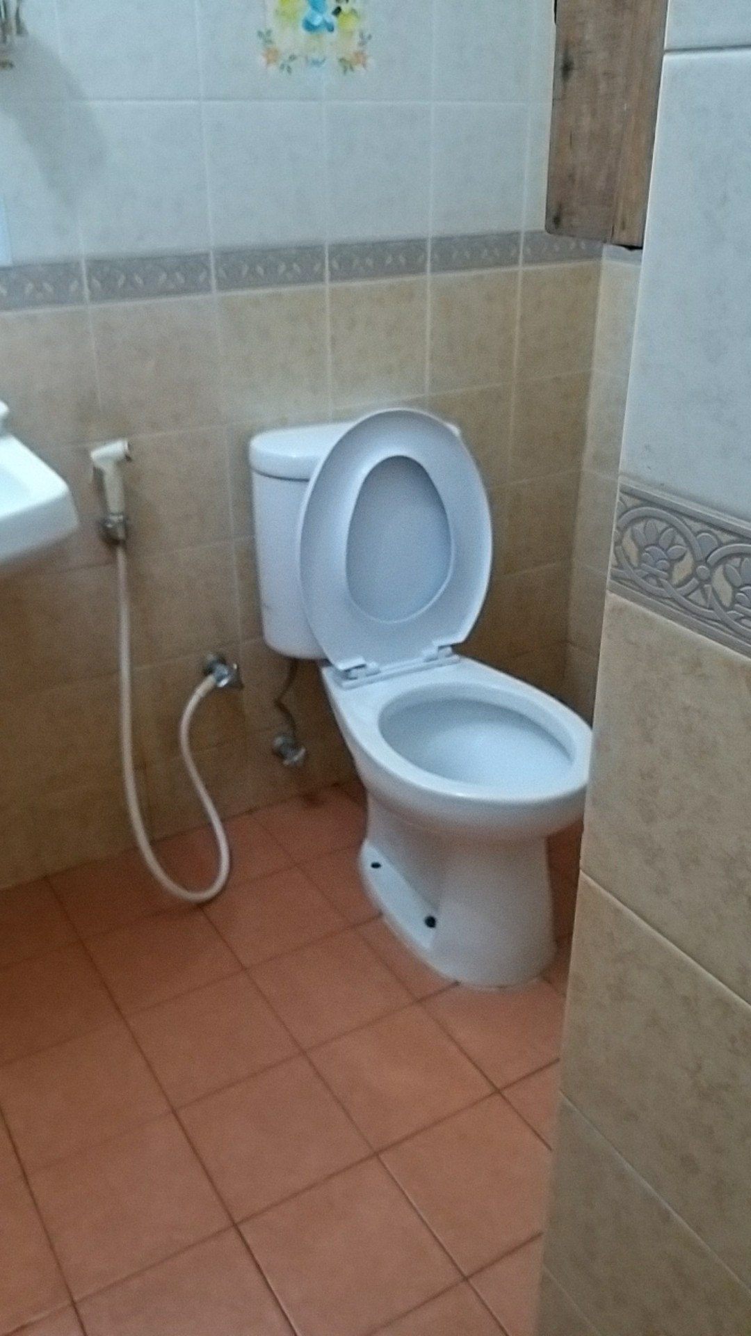 Tutup Closet Tcehplas Putih / Model Toto