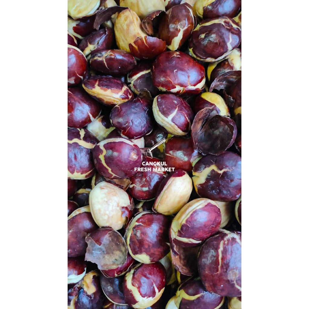 

Buah Jengkol segar 500gr