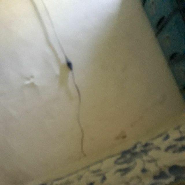 Nagabonar Kemeja Batik Pria Lengan Pendek By Batik Rajasakti