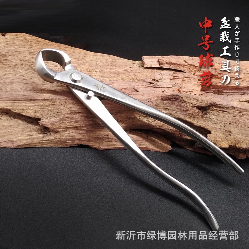 CATOK BONSAI CEMBUNG IMPORT KREKUT BONSAI CATOK CARBON CATOK STAINLESS 21CM