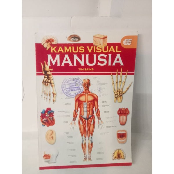 kamus visual manusia