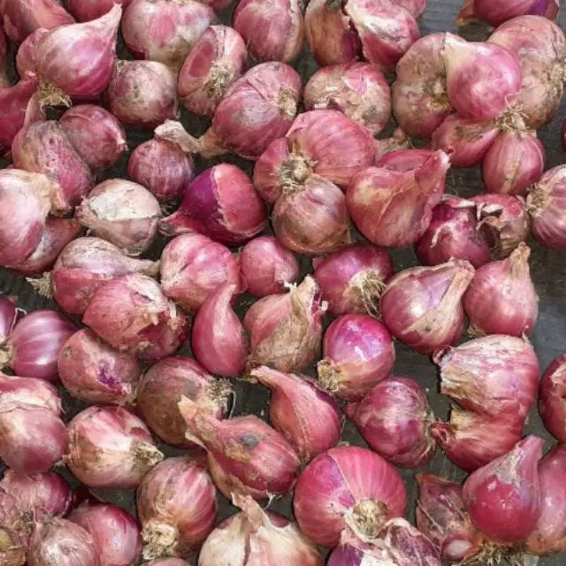 

Bawang Merah campur 1kg asli Probolinggo free kardus packing+50gram