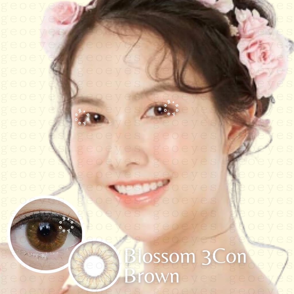 GEOEYES - Softlens Kitty Kawaii Blossom 3Con Brown (Coklat)