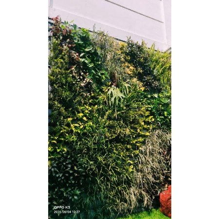 Vertical garden, Taman dinding vertical garden