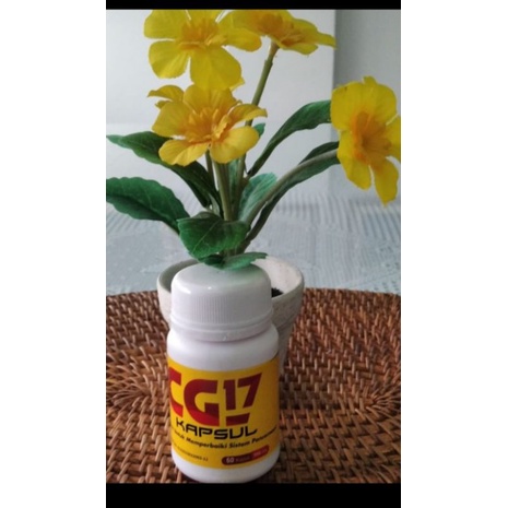 

OBAT HERBAL KAPSUL CG-17 Untuk Maag Kronis Asam Lambung Gerd