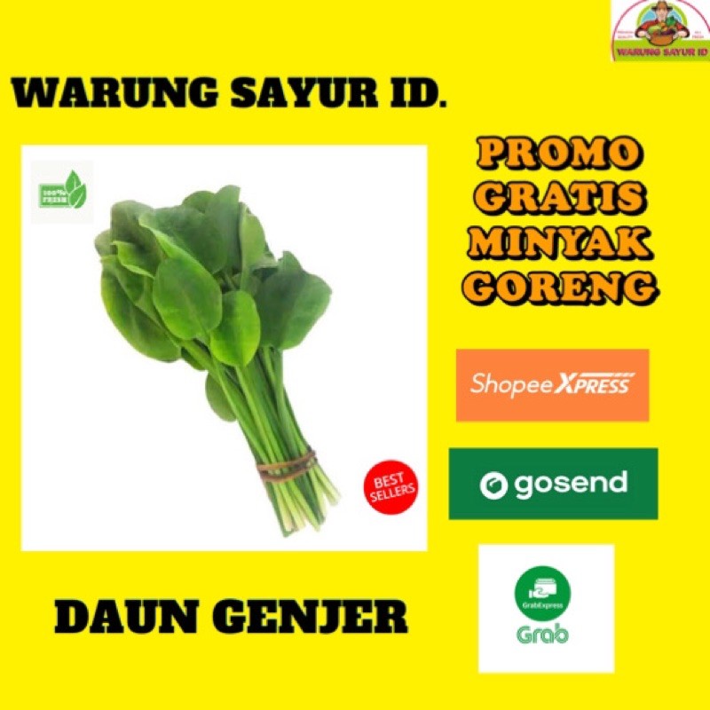 

WARUNG SAYUR | DAUN GENJER PER 1 IKAT |SAYUR SEGAR |SAYUR ONLINE