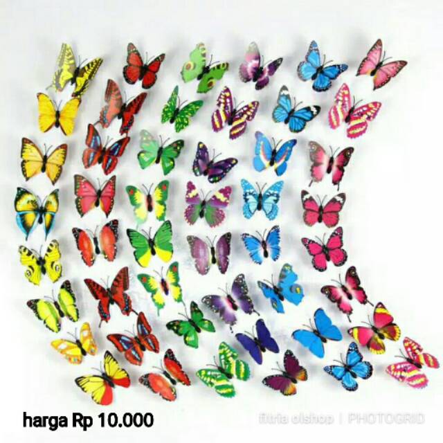 

stiker kupu" 3D isi 12 pcs