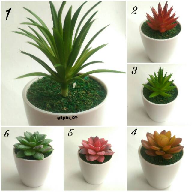 Set Pot Melamin Sukulen Artificial Palsu Imitasi Vas Melamin Sekulen Kaktus Cactus Succulent
