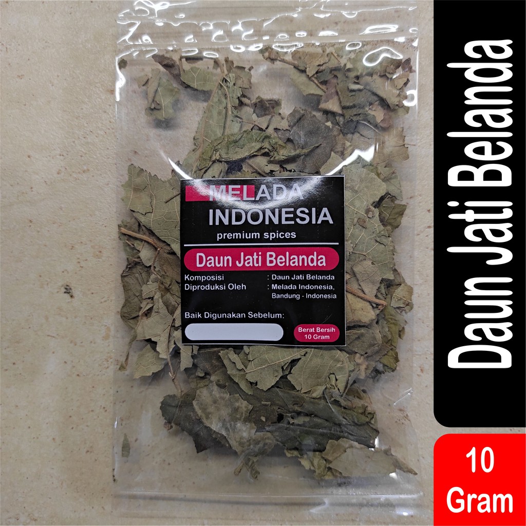 

Daun Jati Belanda