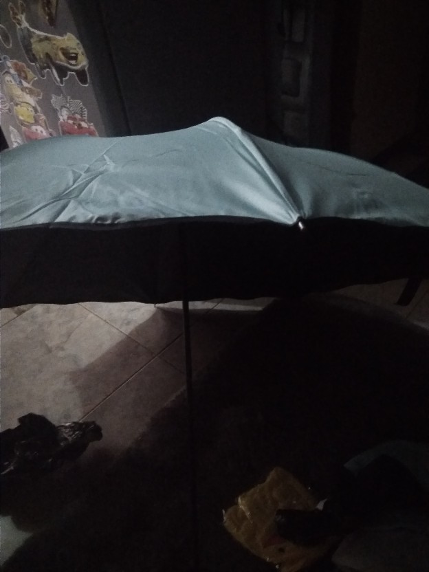 Payung Magic 3d Muncul Motif Jika Basah