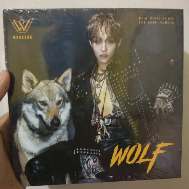 woosung album