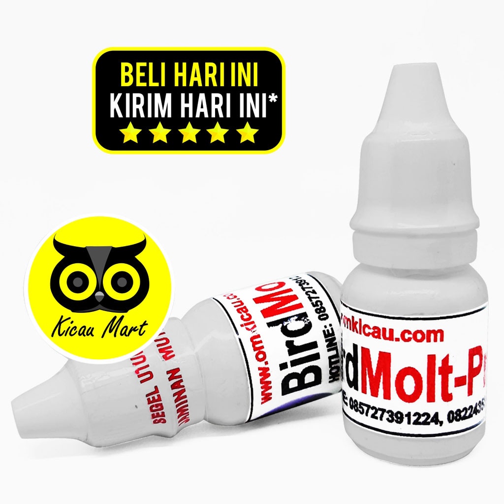 OBAT BURUNG BIRD MOLT PRE BMT OM KICAU ATASI NGURAK MABUNG MOULTING BOTAK BULU PATAH RONTOK VMPREOK