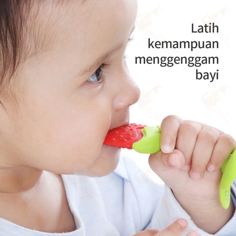 Teether gigitan bayi silikon BPA free gigitan buah bayi teether buah