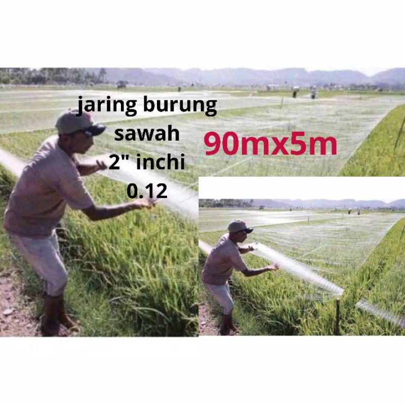 JARING BURUNG JARING IKAN 90 M UNTUK PENGAMAN  PADI DI SAWAH