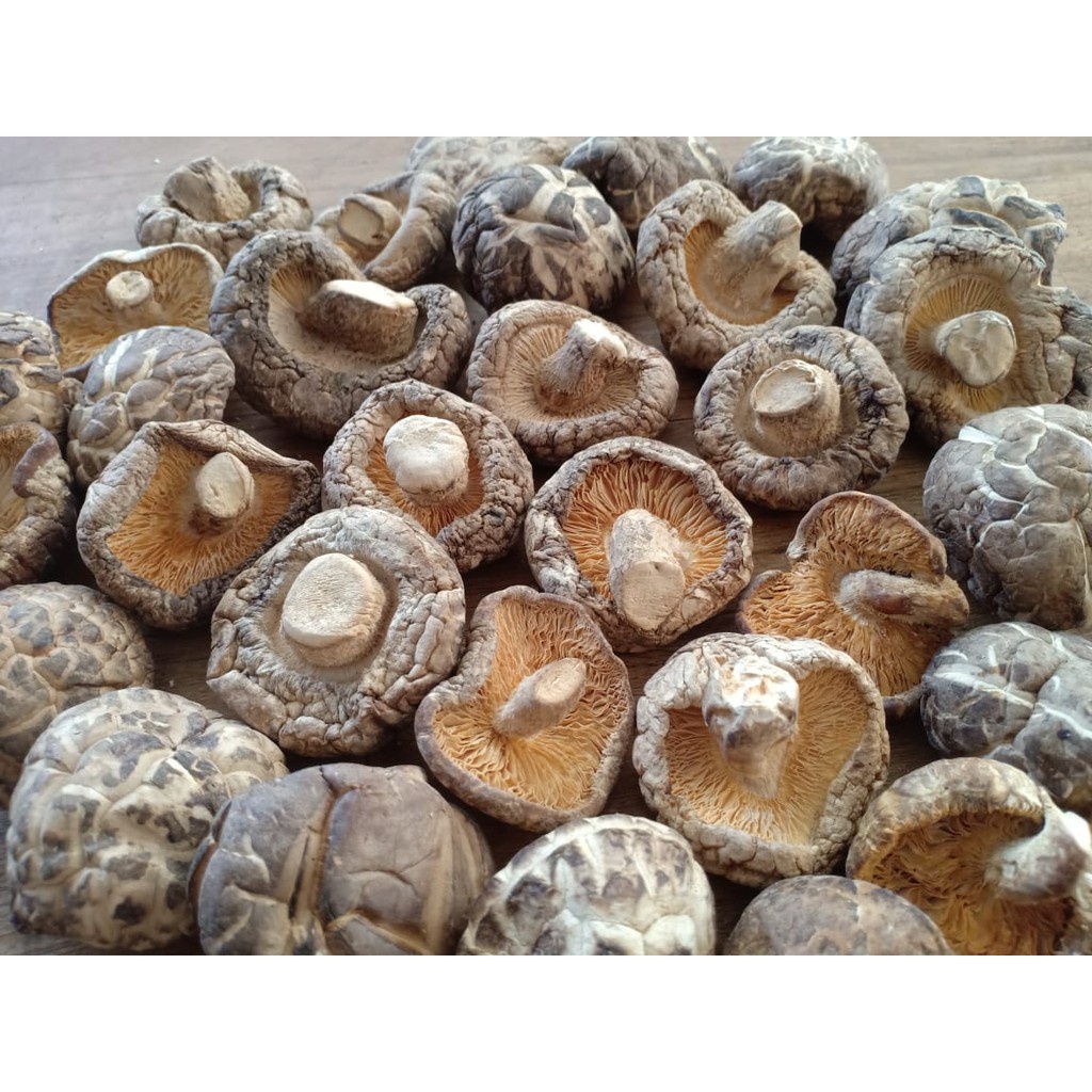 

Jamur Hioko / Jamur Shitake Kering 100 g || Makmur Abadi