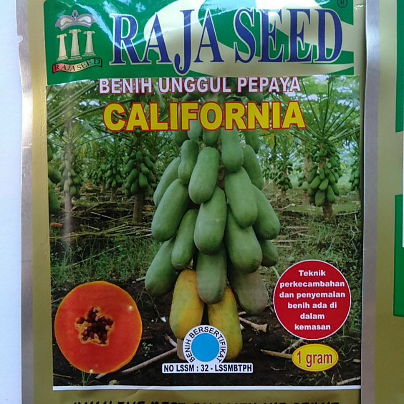 Jual Jual Benih Unggul Pepaya California Kalifornia Kemasan 1gram