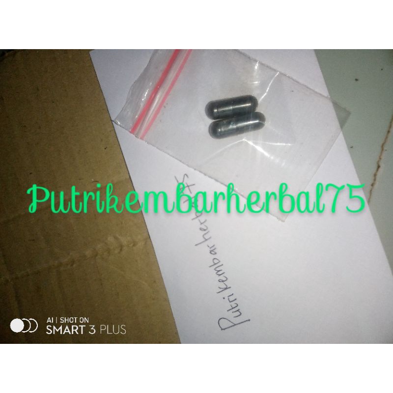 kapsul abu tlarap cicak terbang obat asma ampuh