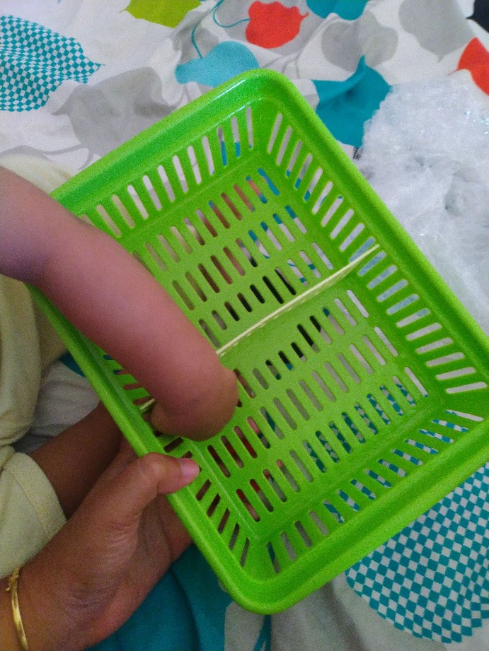 Tempat Bawang Lombok Hijau (tbl 1051 Golden Sunkist)